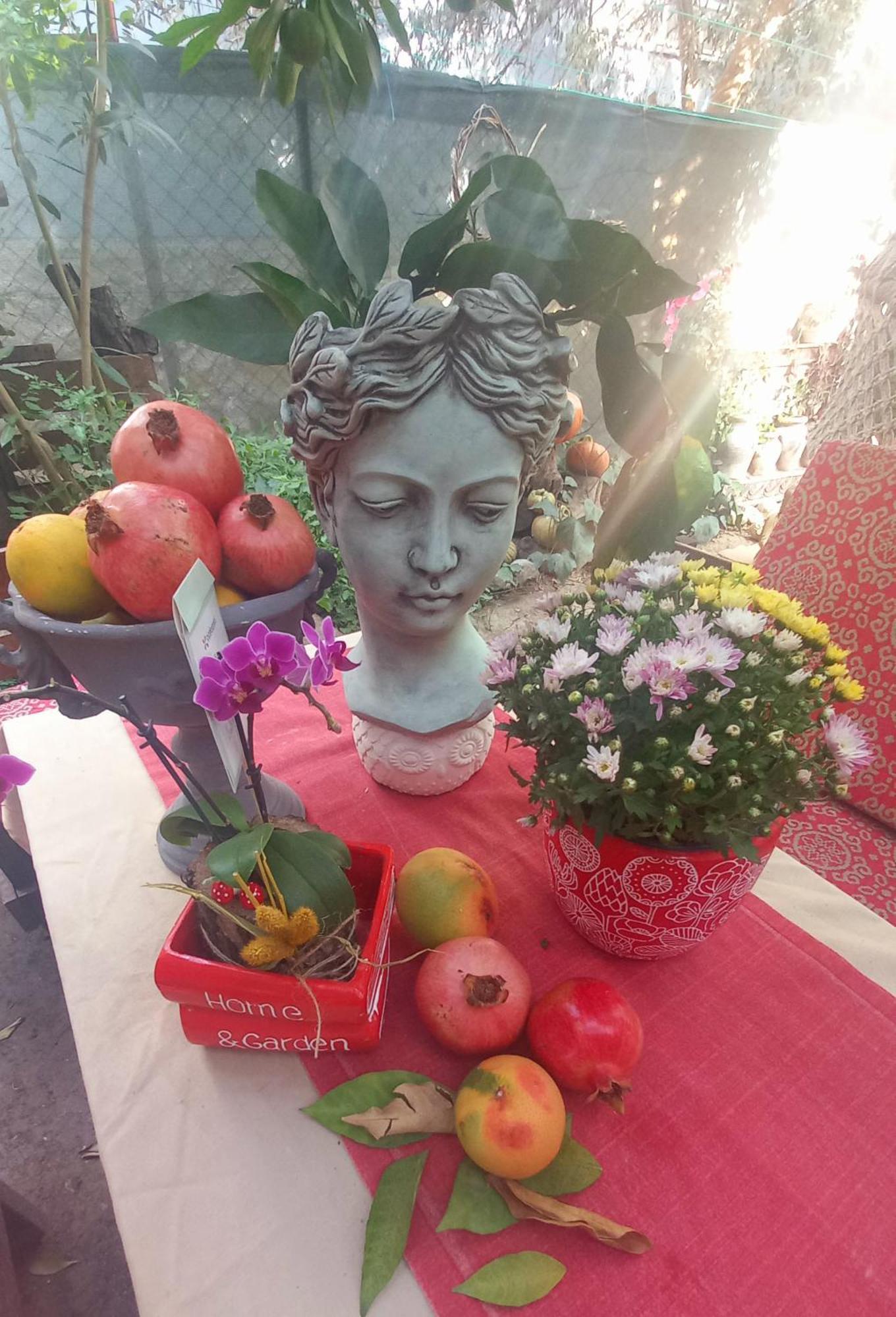 Appartement Demeter Rose Stonehouse Pansion à Antalya Extérieur photo