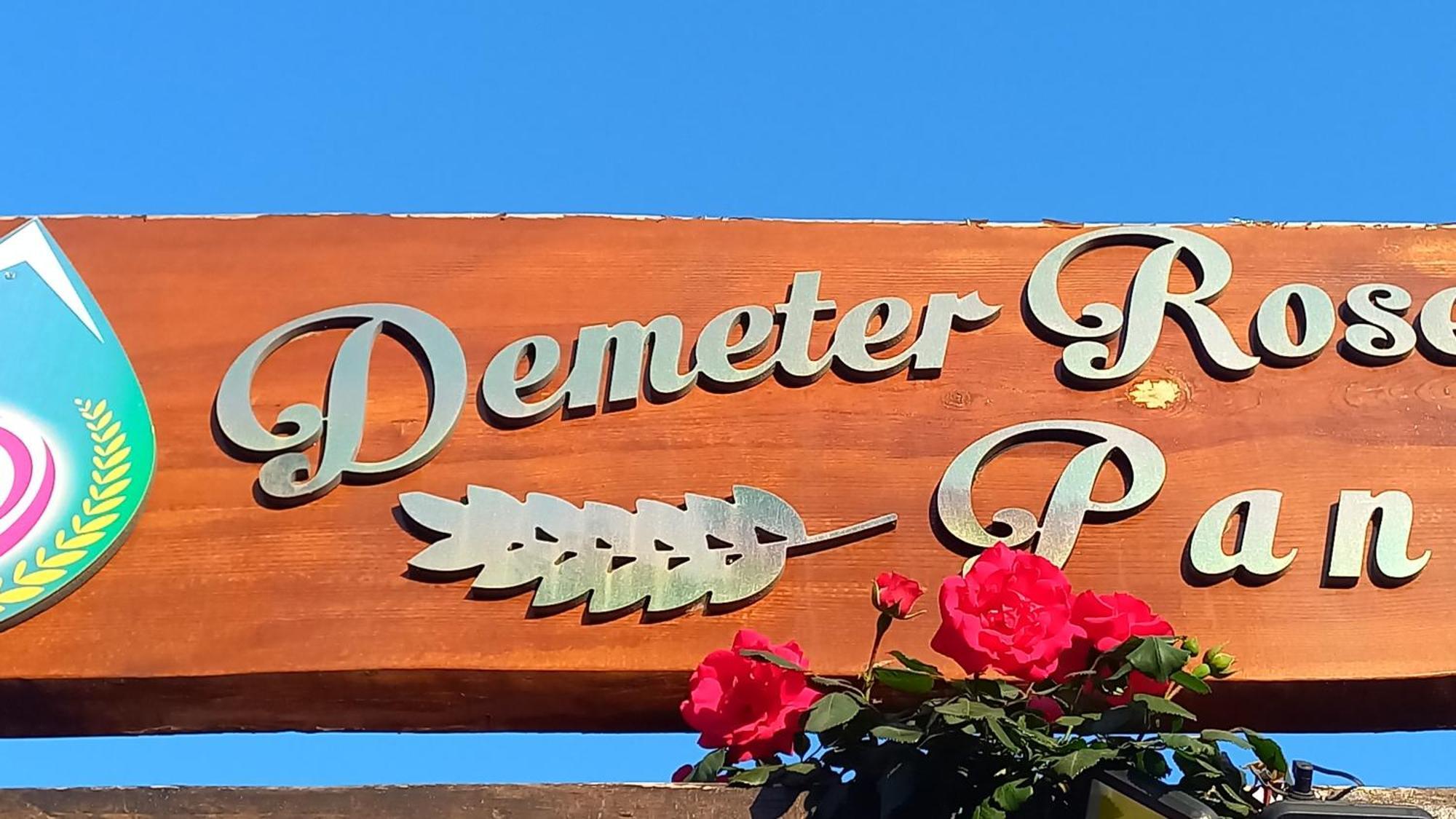 Appartement Demeter Rose Stonehouse Pansion à Antalya Extérieur photo