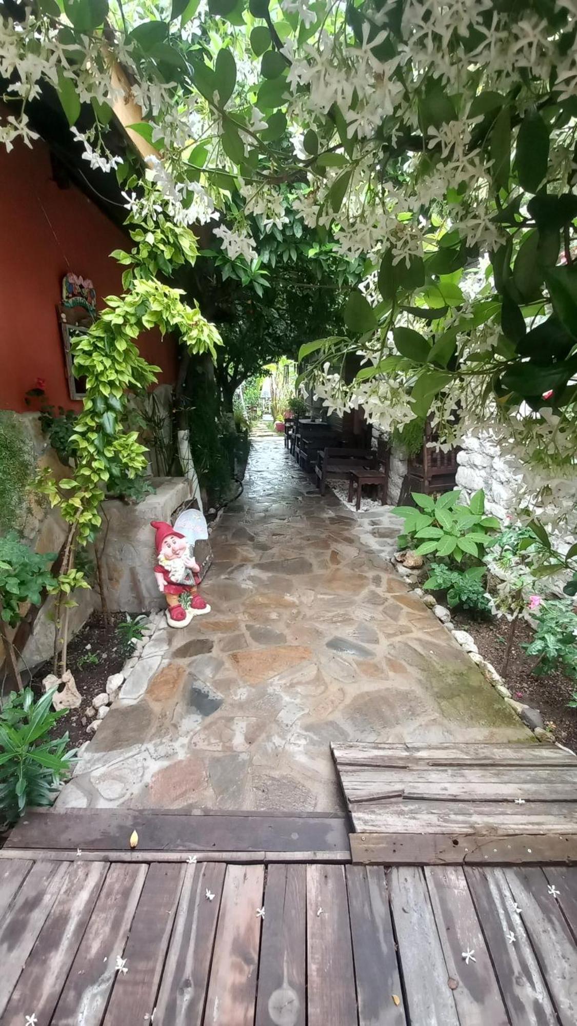 Appartement Demeter Rose Stonehouse Pansion à Antalya Extérieur photo